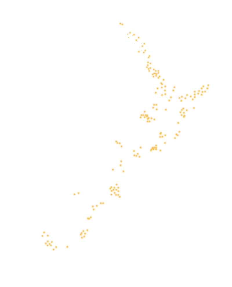NZ map – 200 network overlay NZ map - 200 network overlay