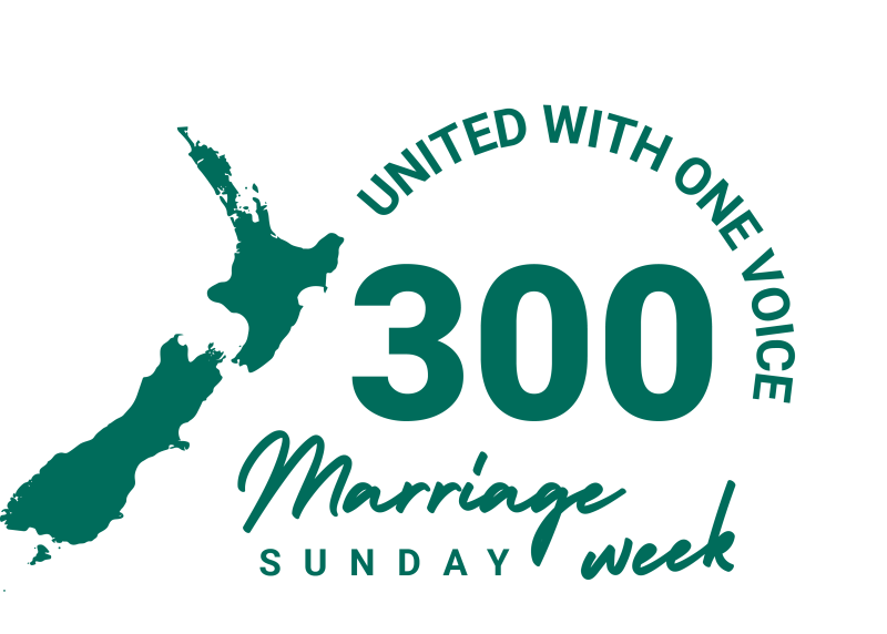 PN 300 logo - g